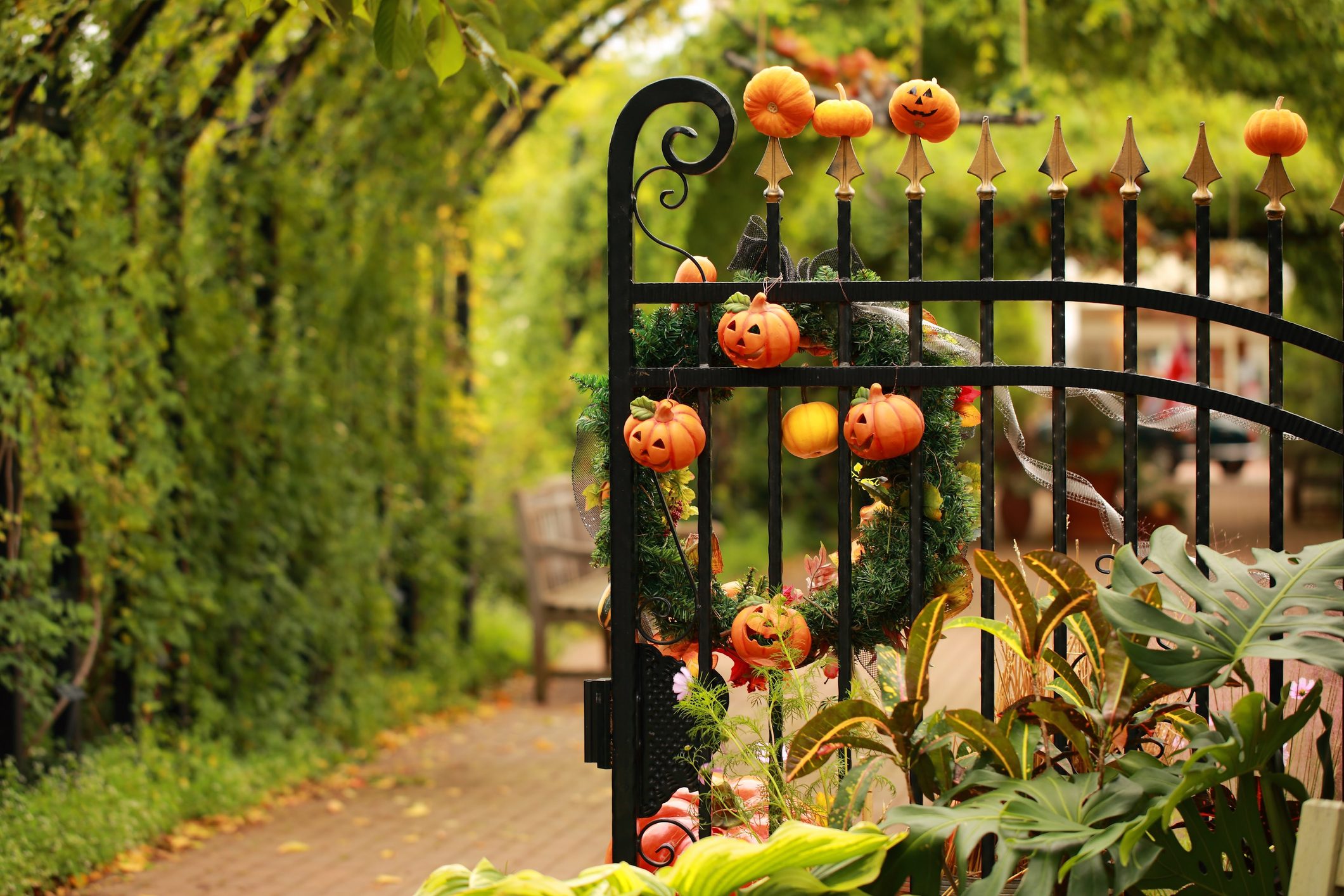 Metallic Gate Decorated Halloween