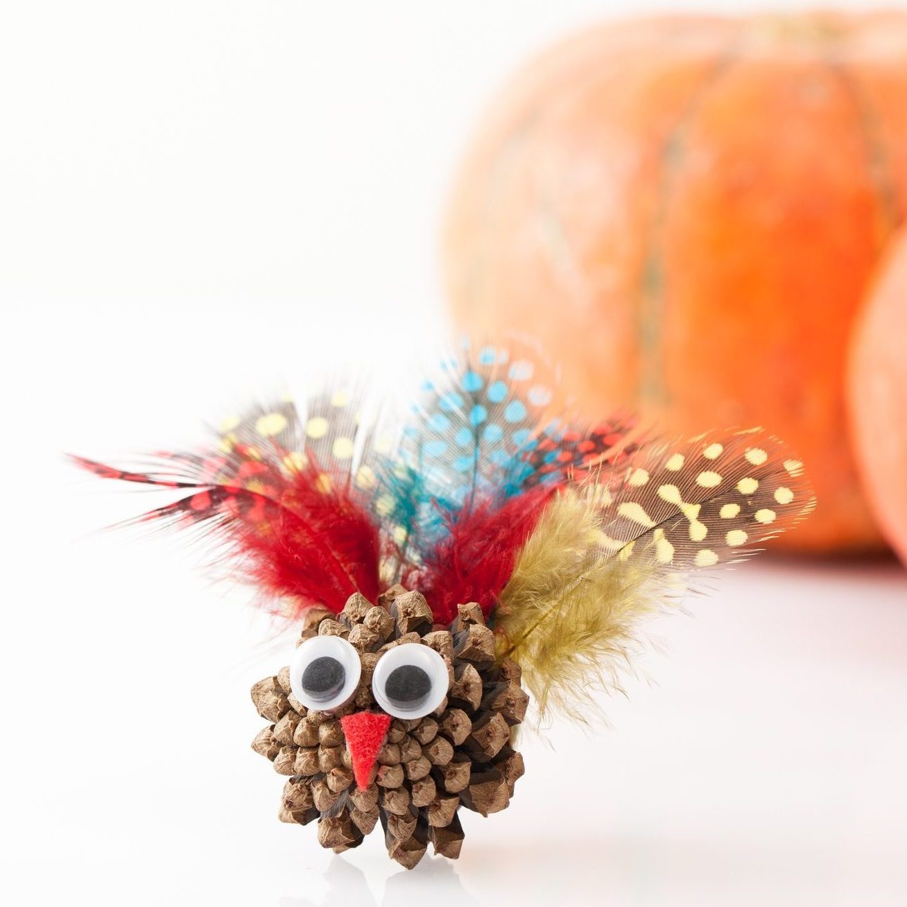 pinecone turkey craft for thanksgiving