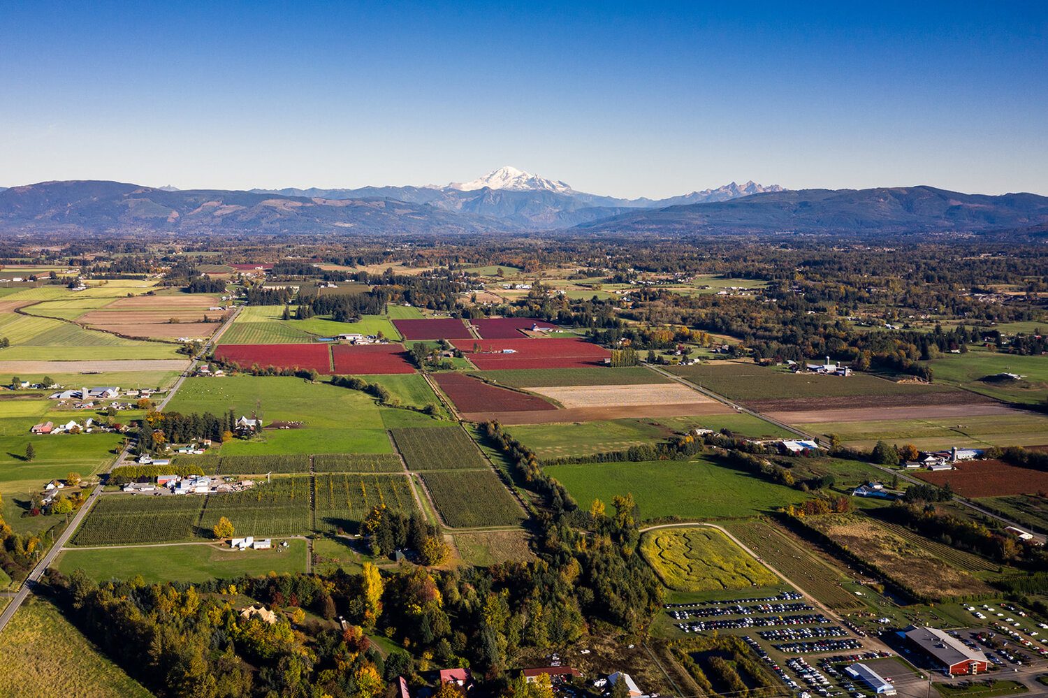 aerial view of farms with mount rainier in the background