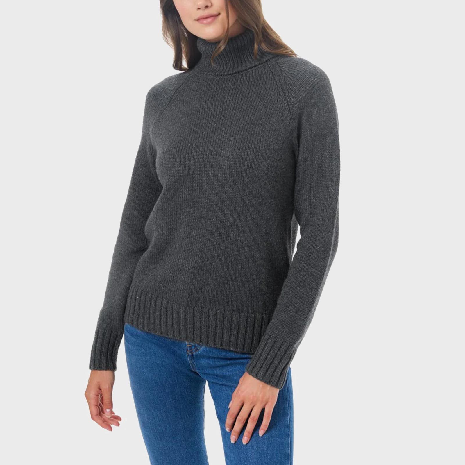 Rd Ecomm Tentree Sustainable Turtleneck Sweater Via Tentree.com
