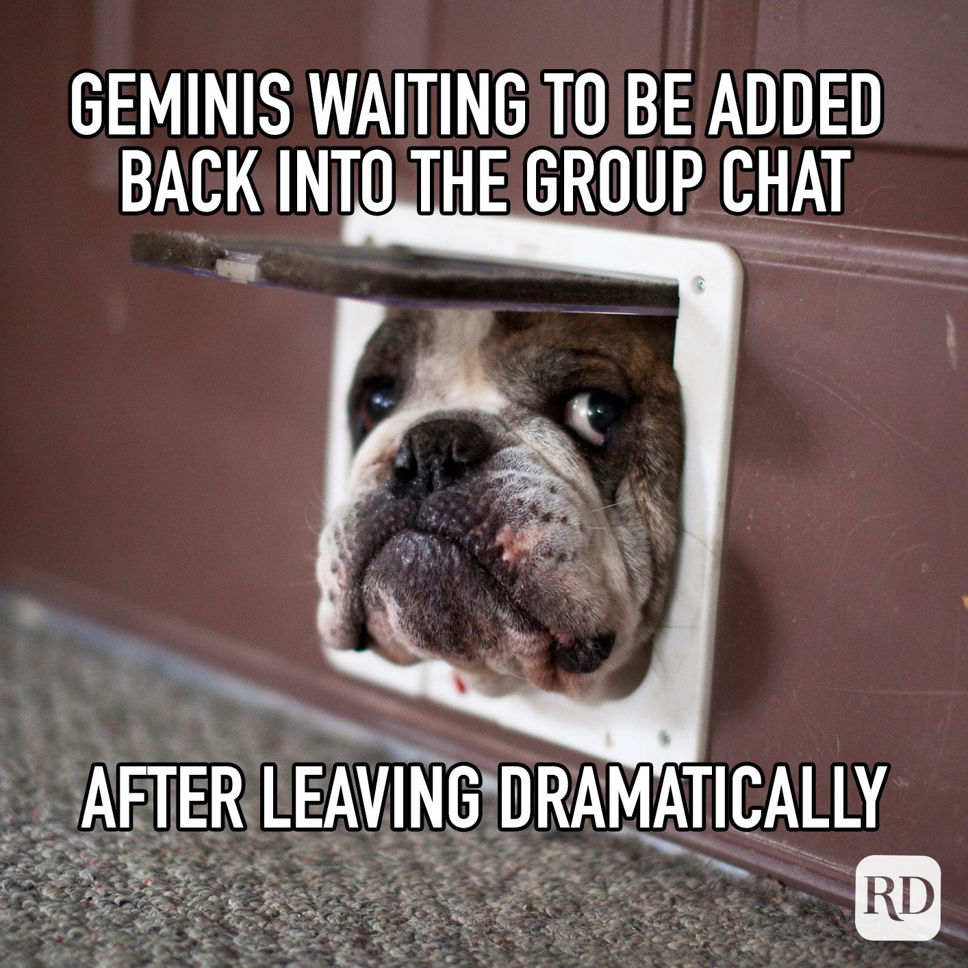 Geminis Waiting To Be Added Back Into The Grou Chat After Leaving Dramatically meme text