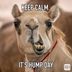 25 Hump Day Memes to Get You Through the Week