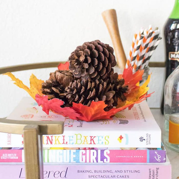 Pinecones rest atop colorful autumn leaves on a stack of books, including 