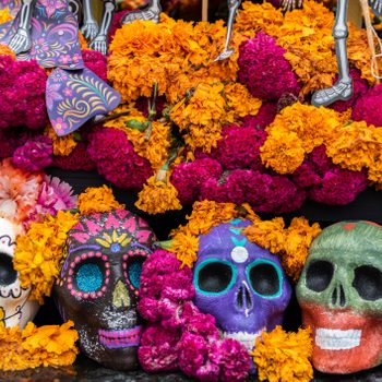 Decorative skulls sit amidst vibrant marigolds and magenta flowers, creating a colorful festive display.