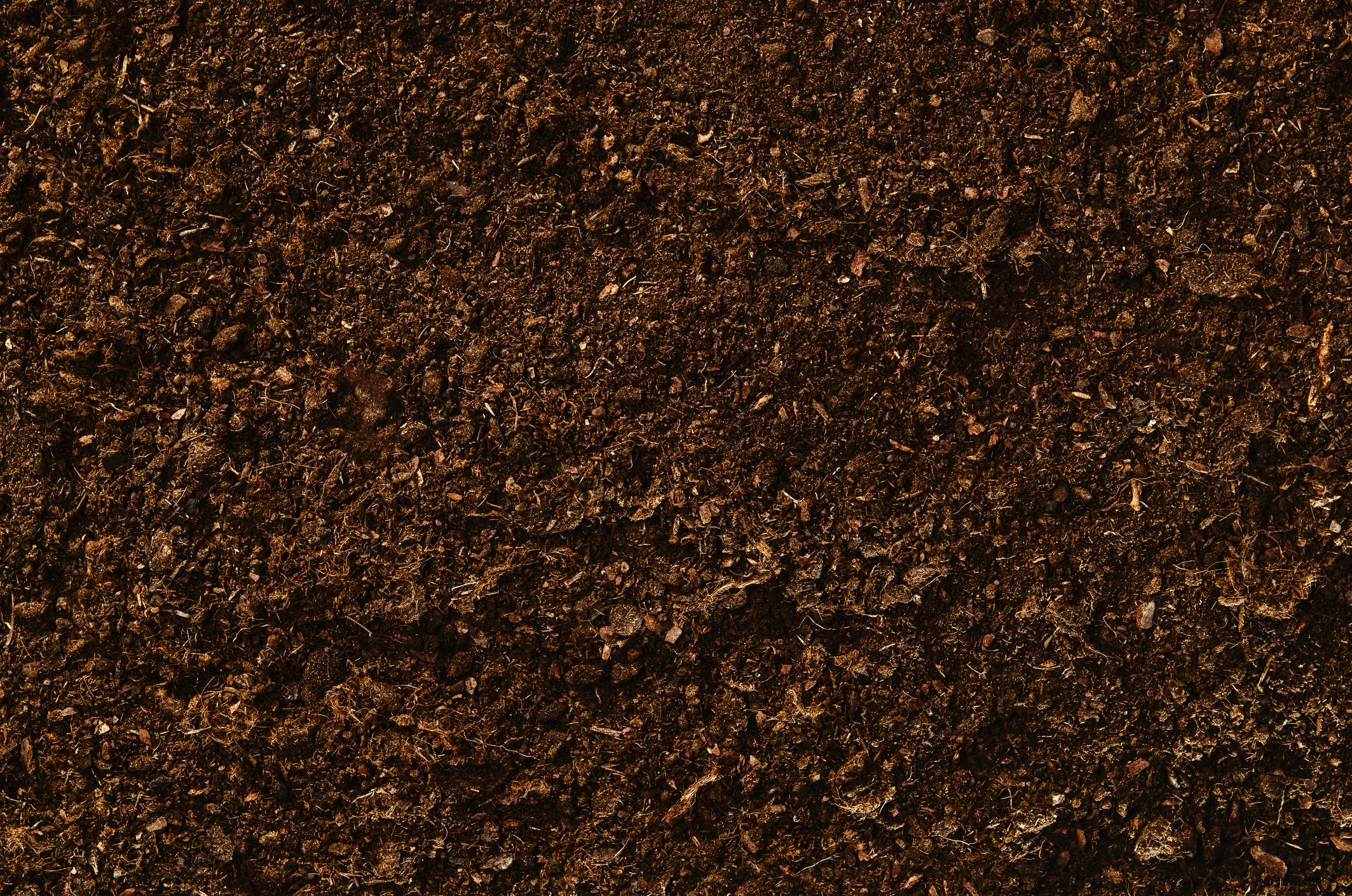 full frame soil texture