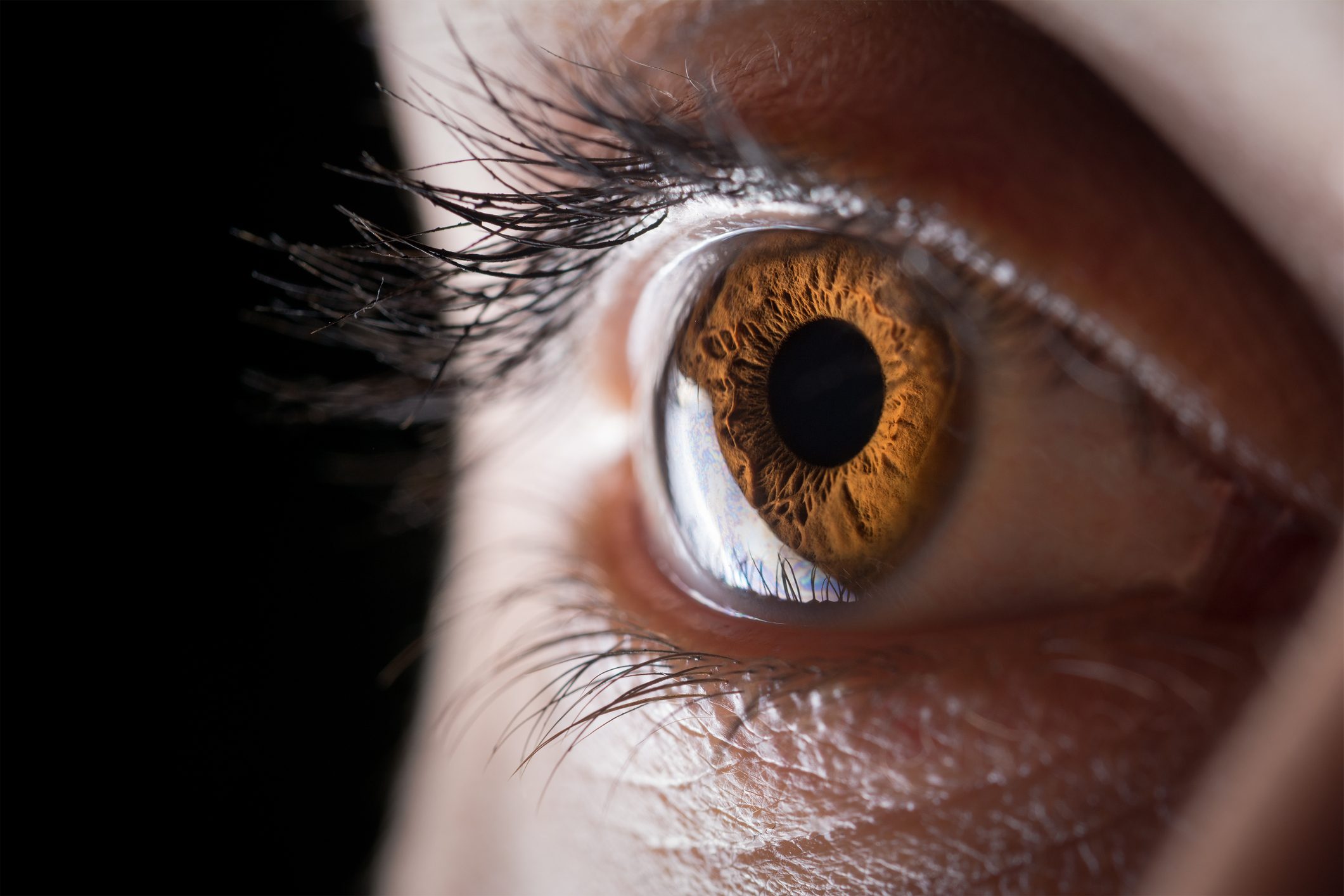 close up of person's brown colored eye