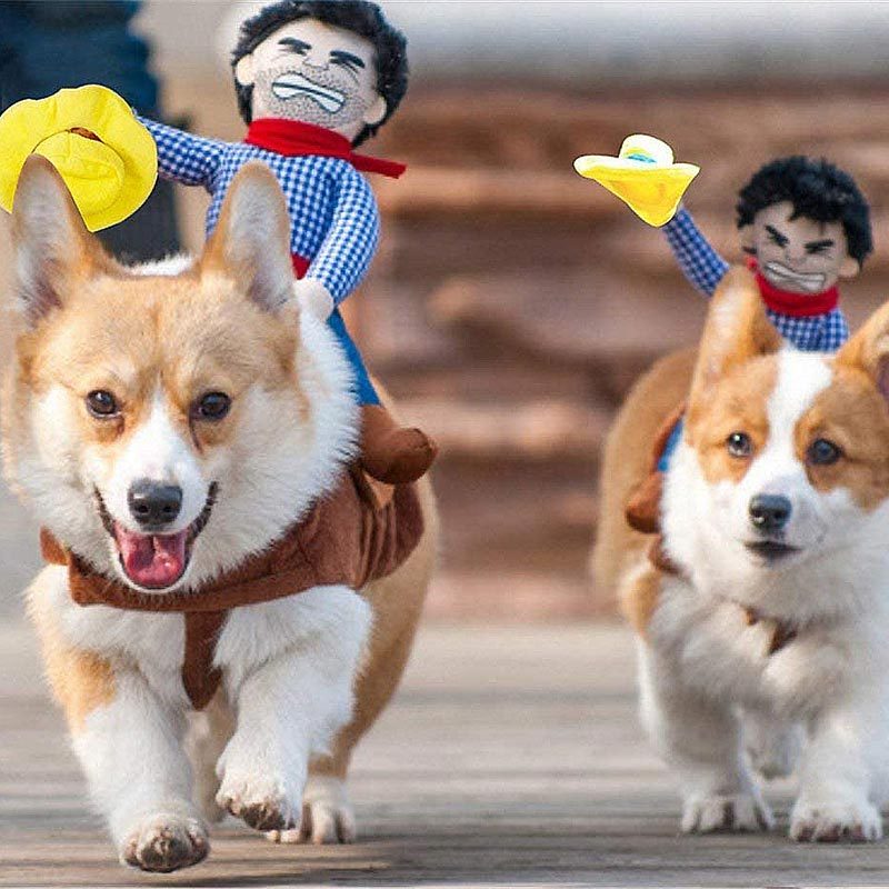 Rd Ecomm Cowboy Rider Dog Costume Via Amazon.com