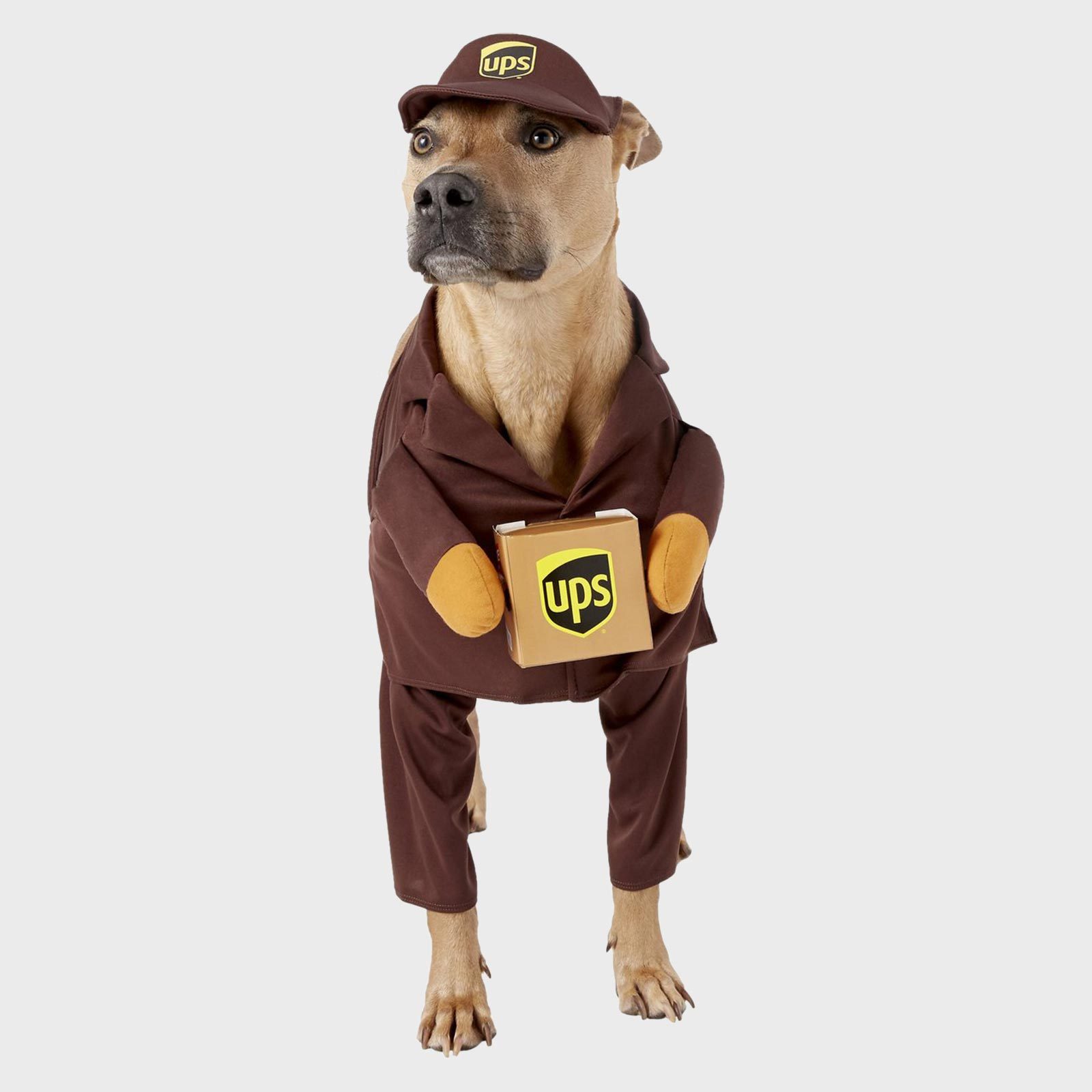 Rd Ecomm Ups Dog Costume Via Chewy.com