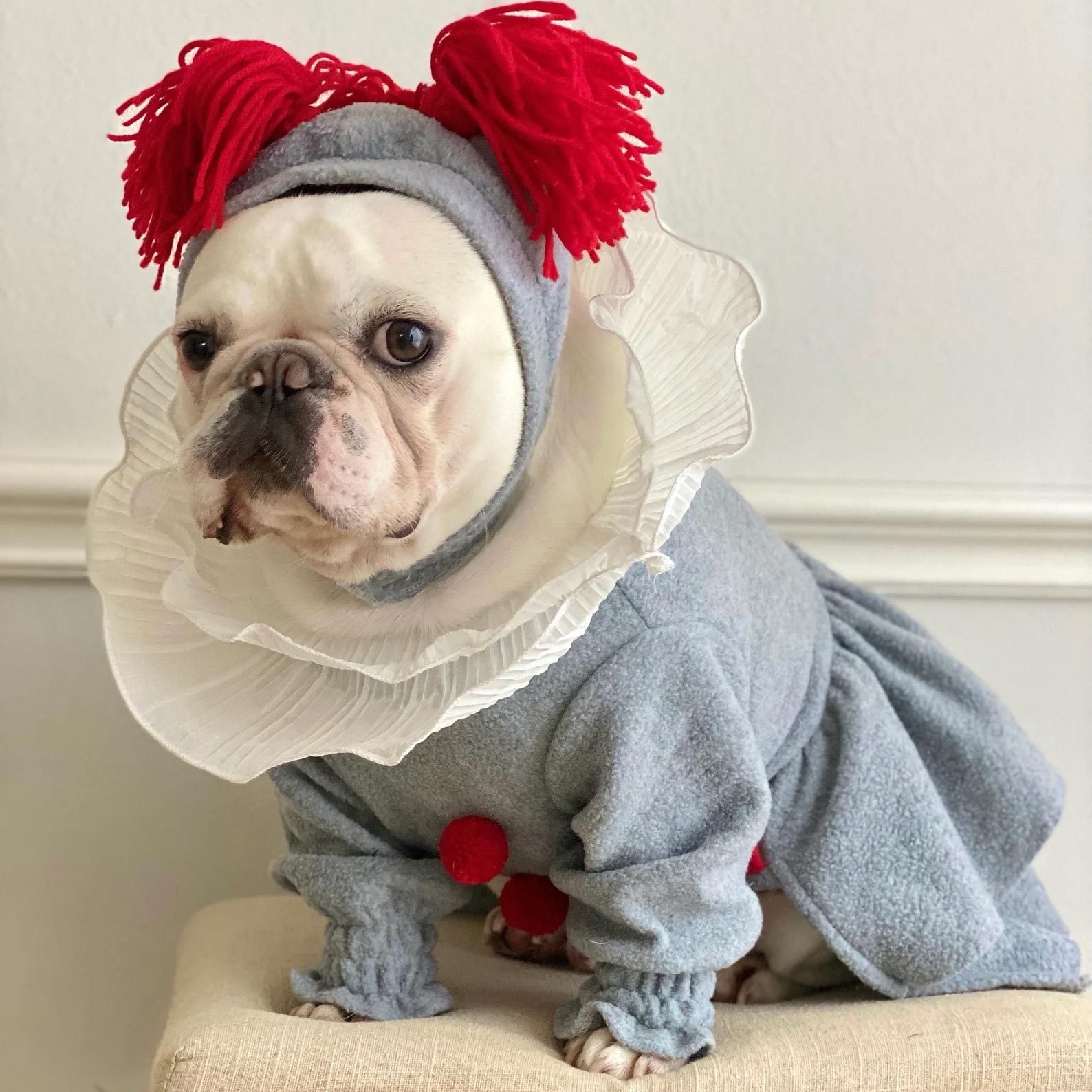 Rd Ecomm Dog Costume Via Fitfrenchie Etsy.com