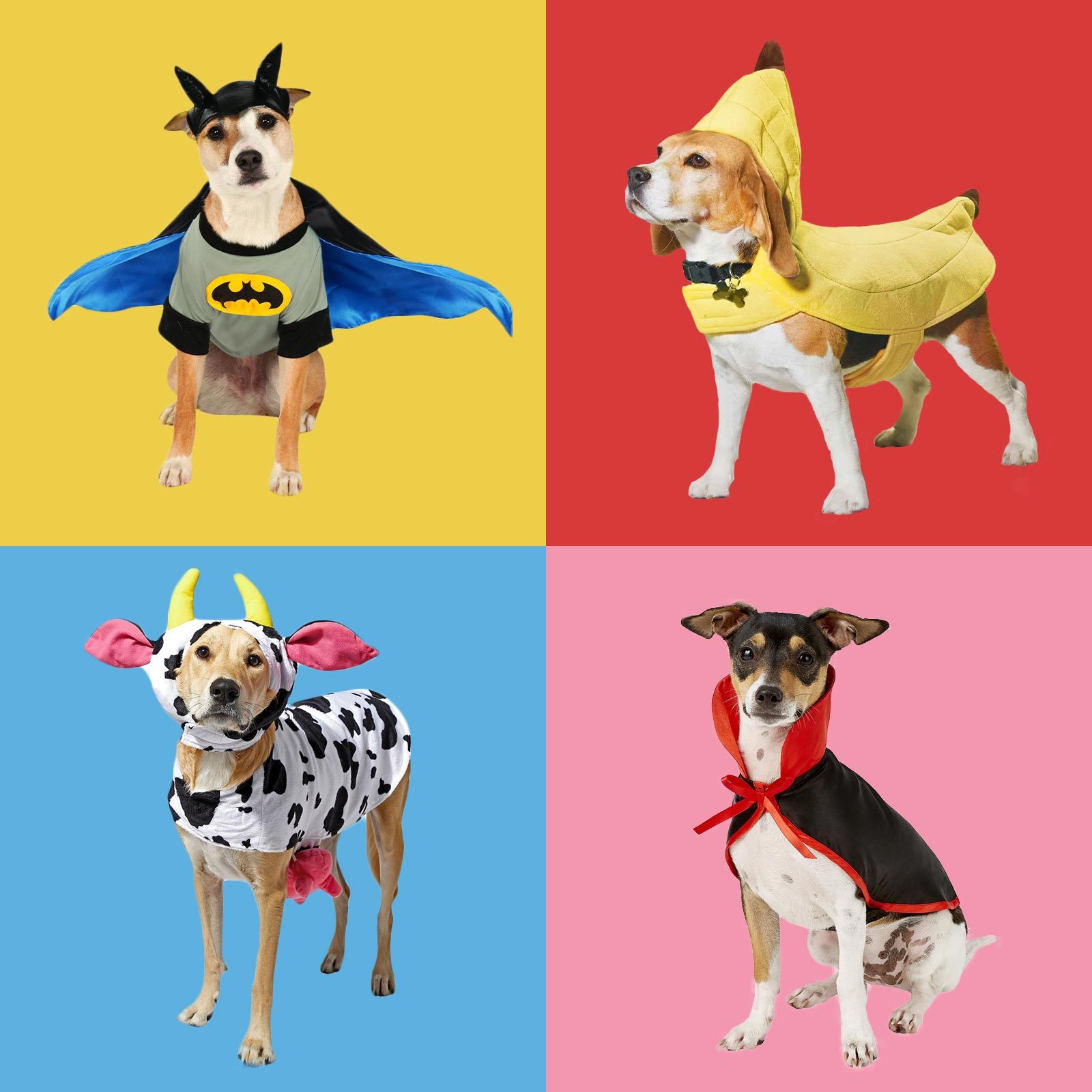 Dog Costumes