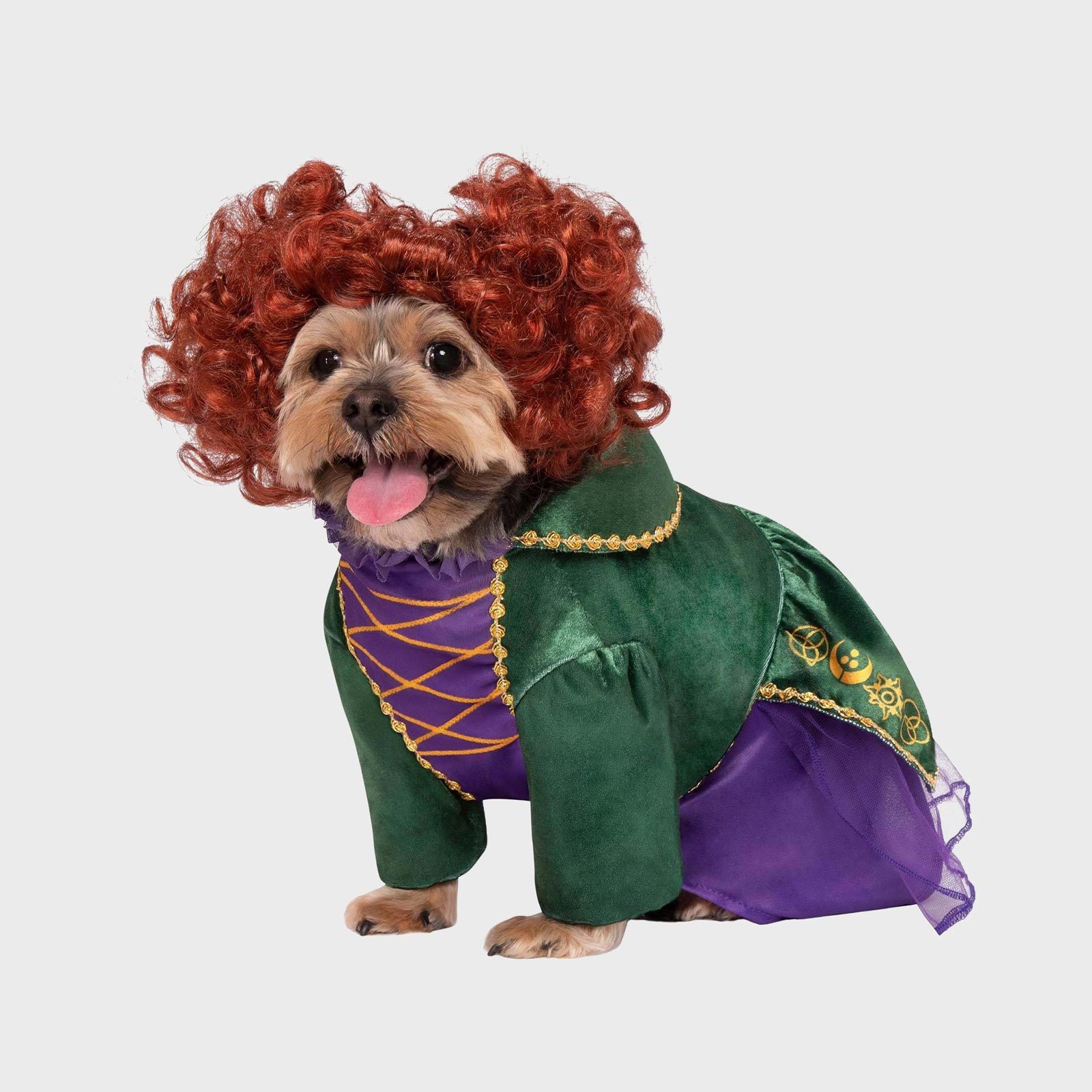 Rd Ecomm Hocus Pocus Dog Costume Via Halloweencostumes.com