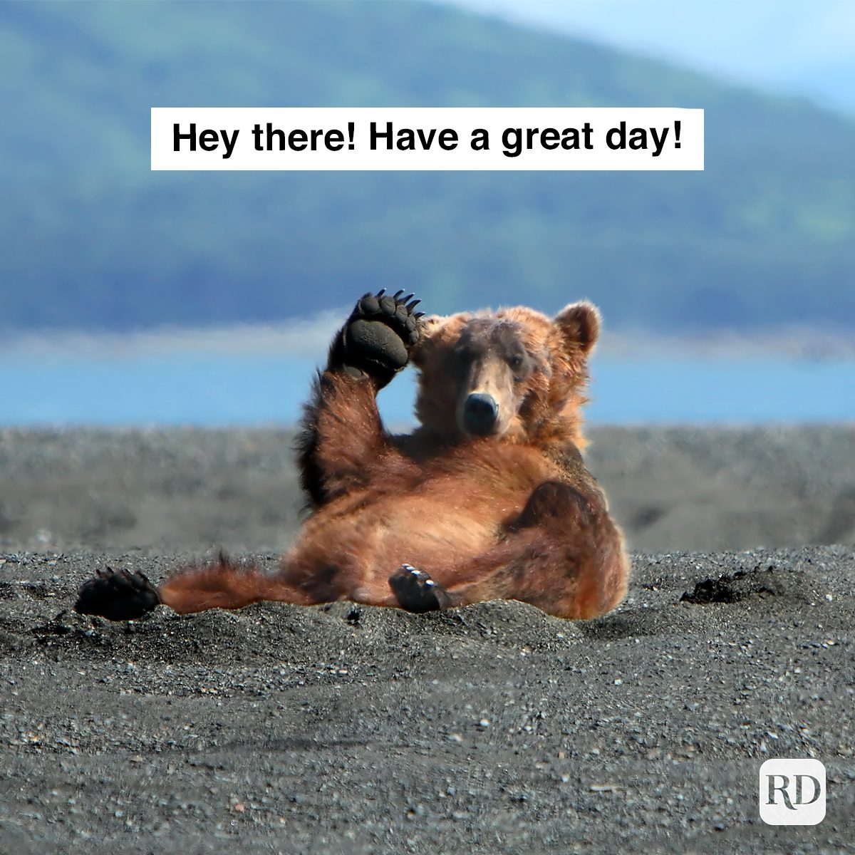 Hey There Have A Great Day 