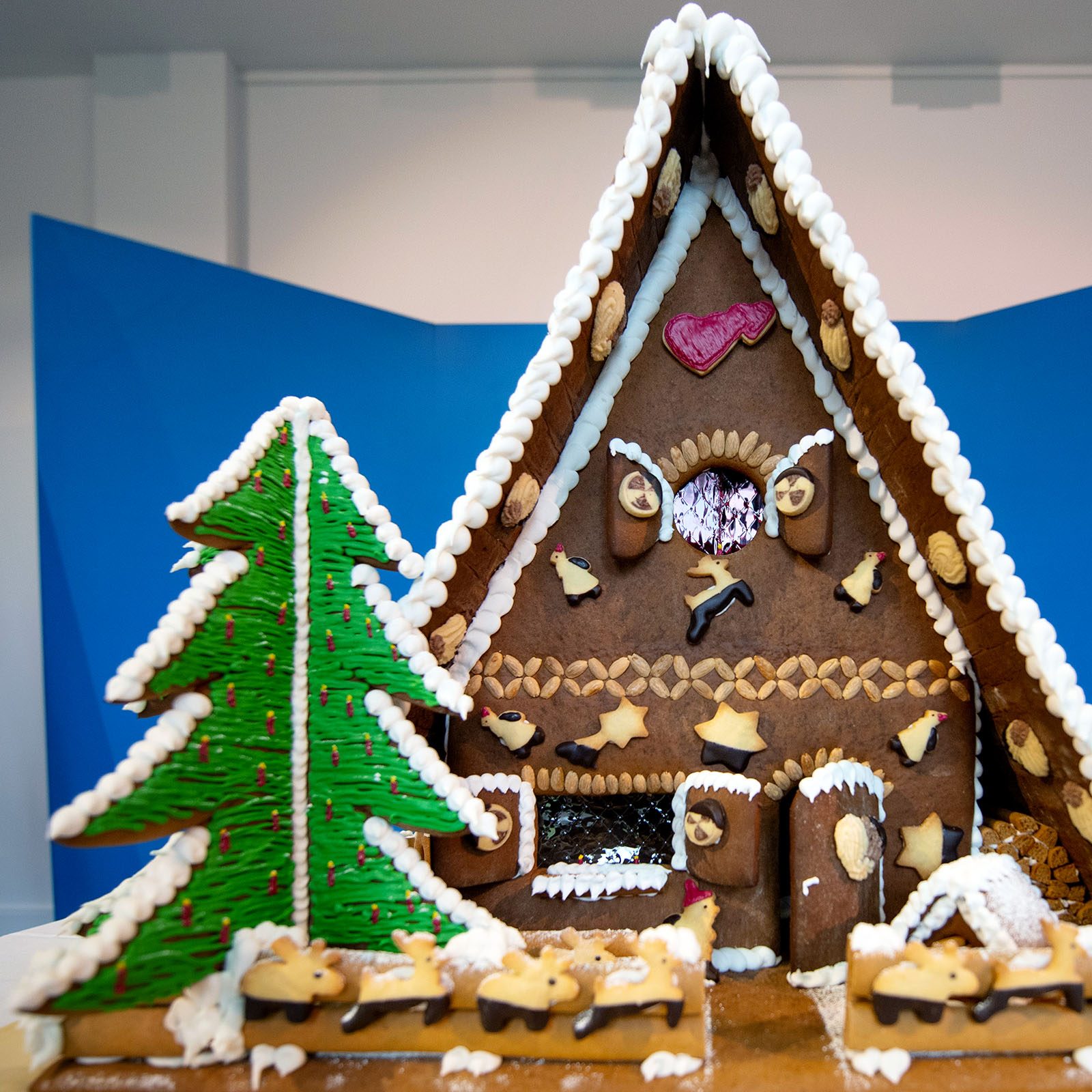 A gingerbread house decorated with icing and cookie figures stands beside a large Christmas tree, set against a blue backdrop.