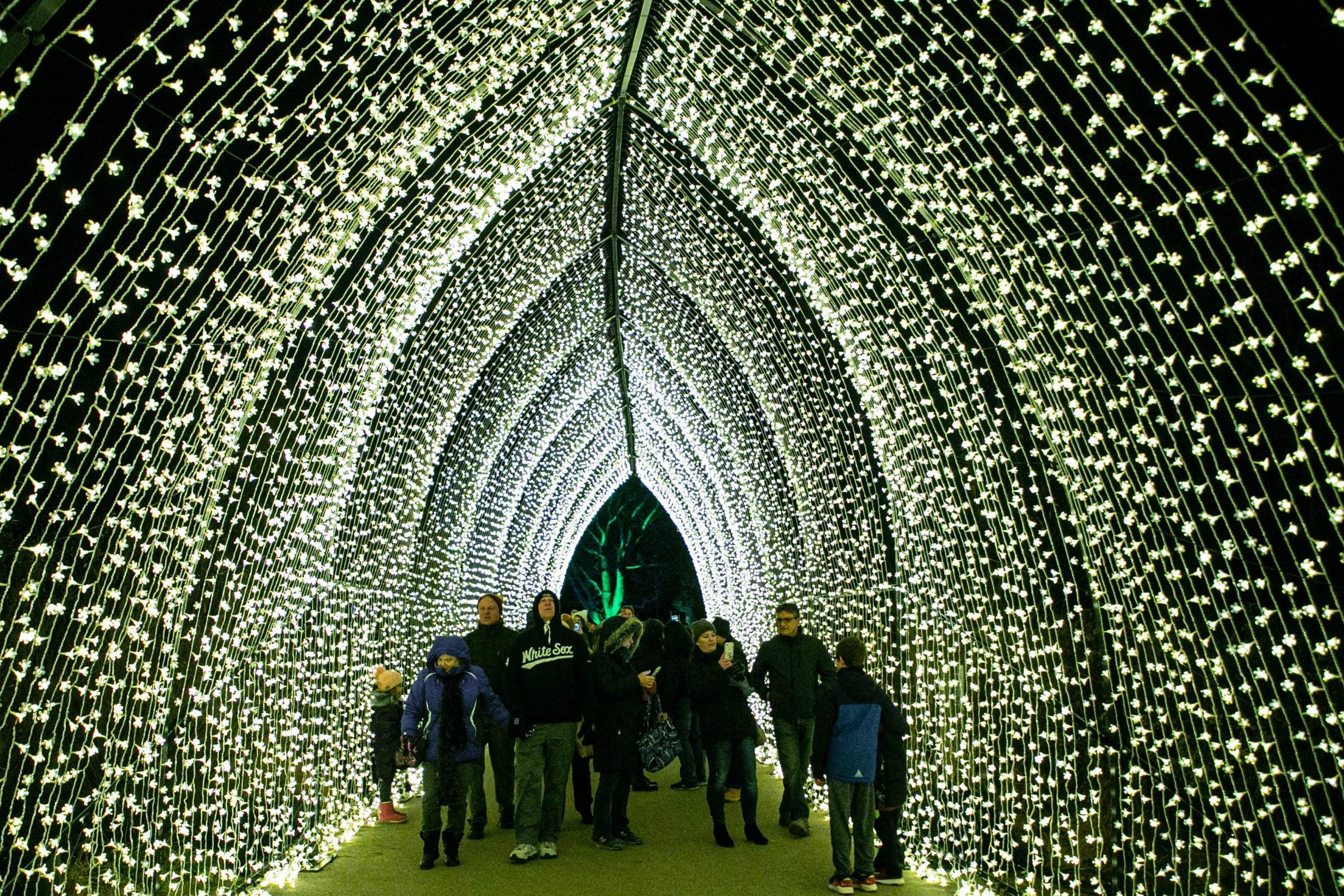 People enjoy a tunnel of light at the Lightscape exhibit at Chicago Botanic Garden in Glencoe, Illinois