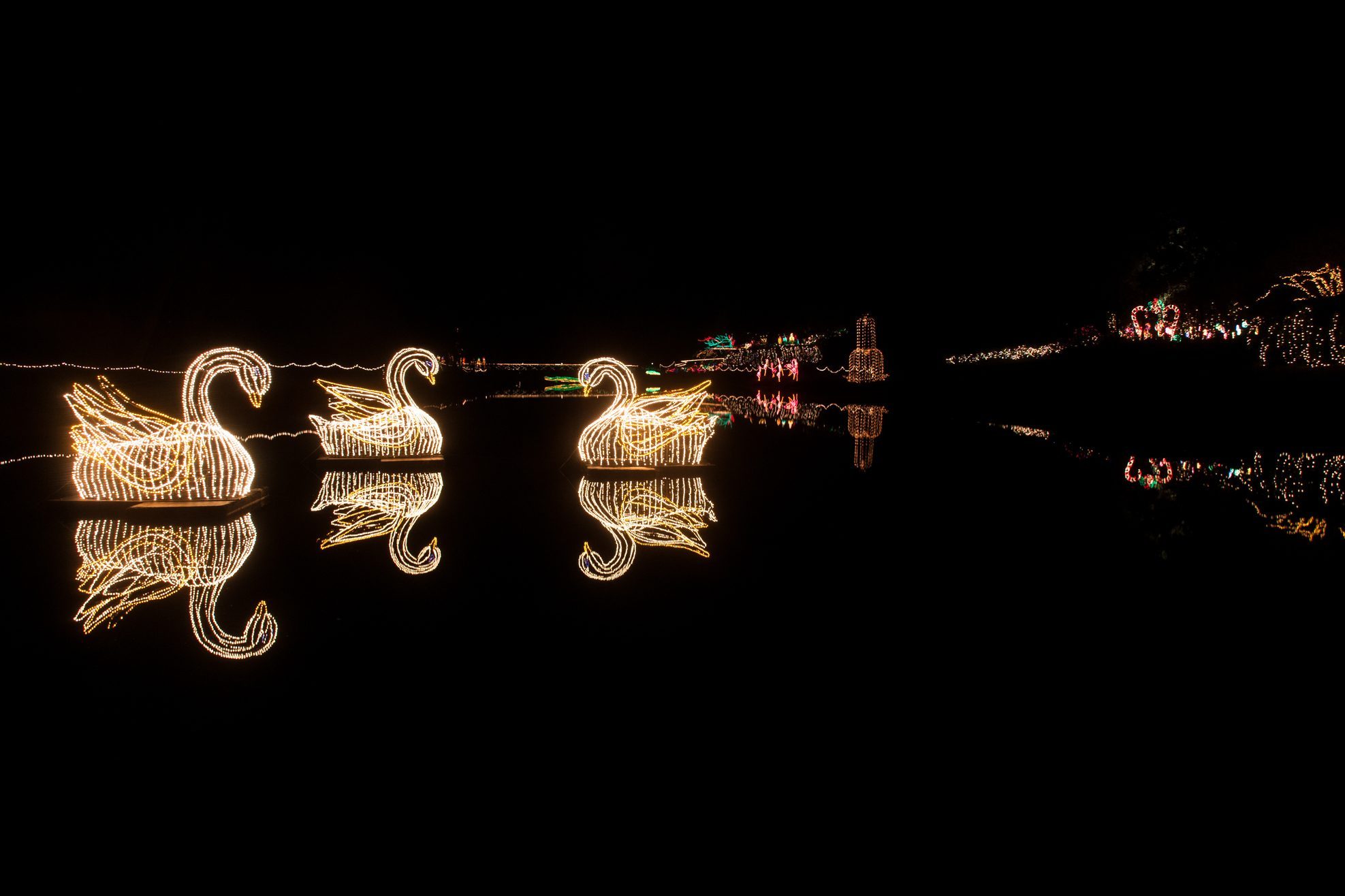 Bellingrath Gardens Christmas lights