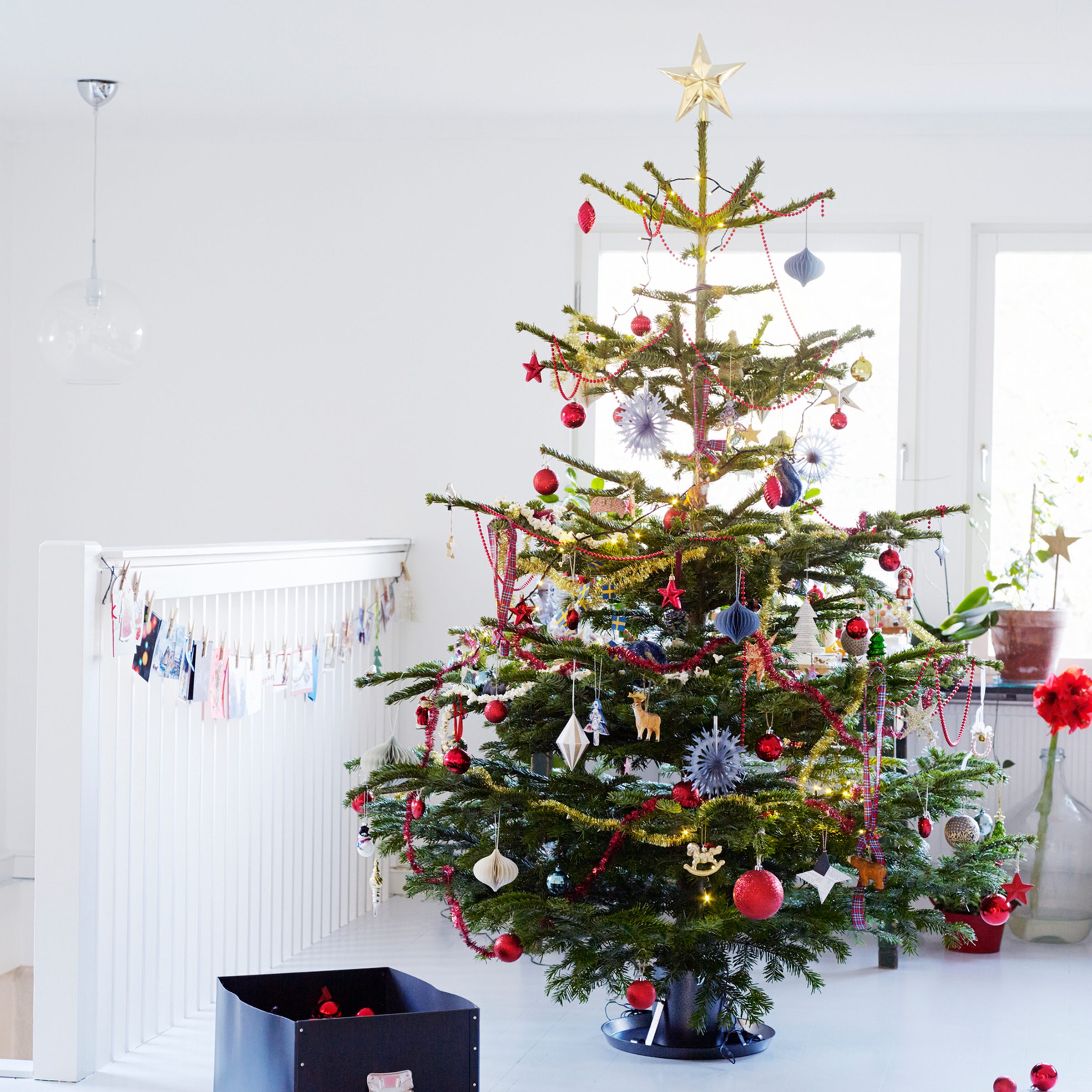 Christmas tree that resembles Charlie Brown Christmas Tree