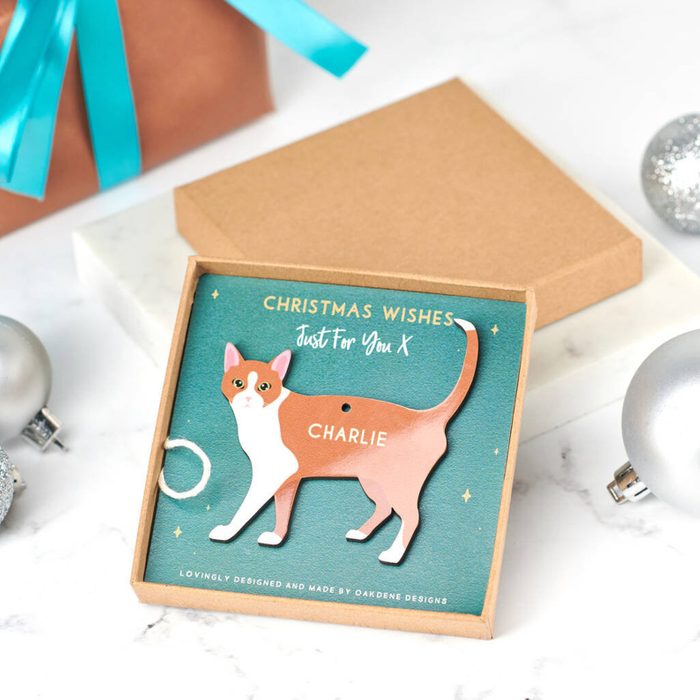 Cat decoration sitting inside a box says 