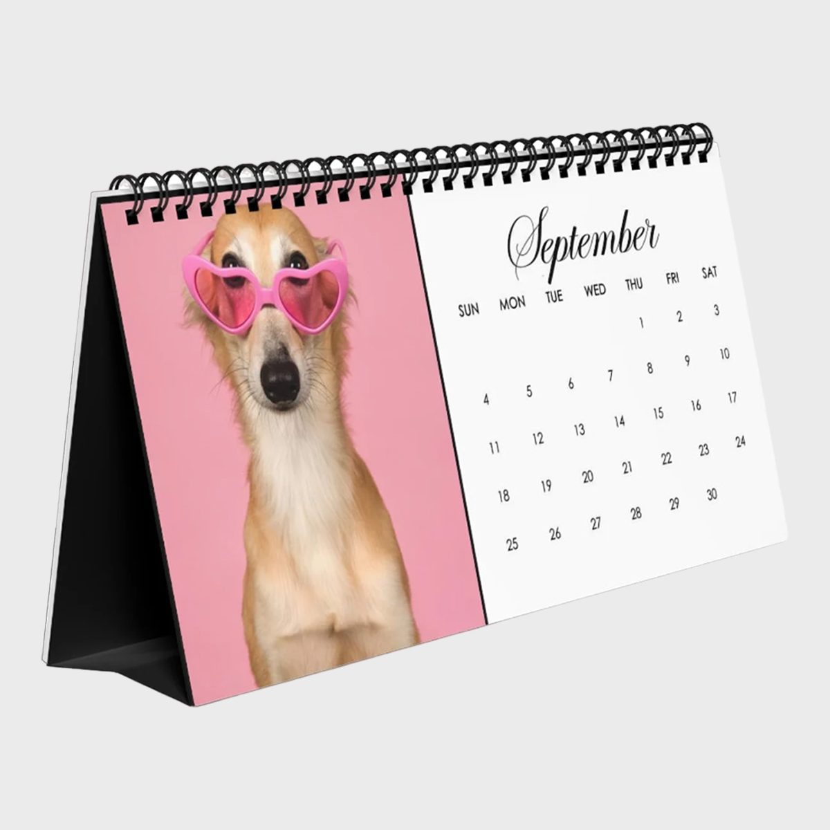 A dog wears pink heart sunglasses, posing for a calendar page labeled September with a pink background on the left and dates on the right.