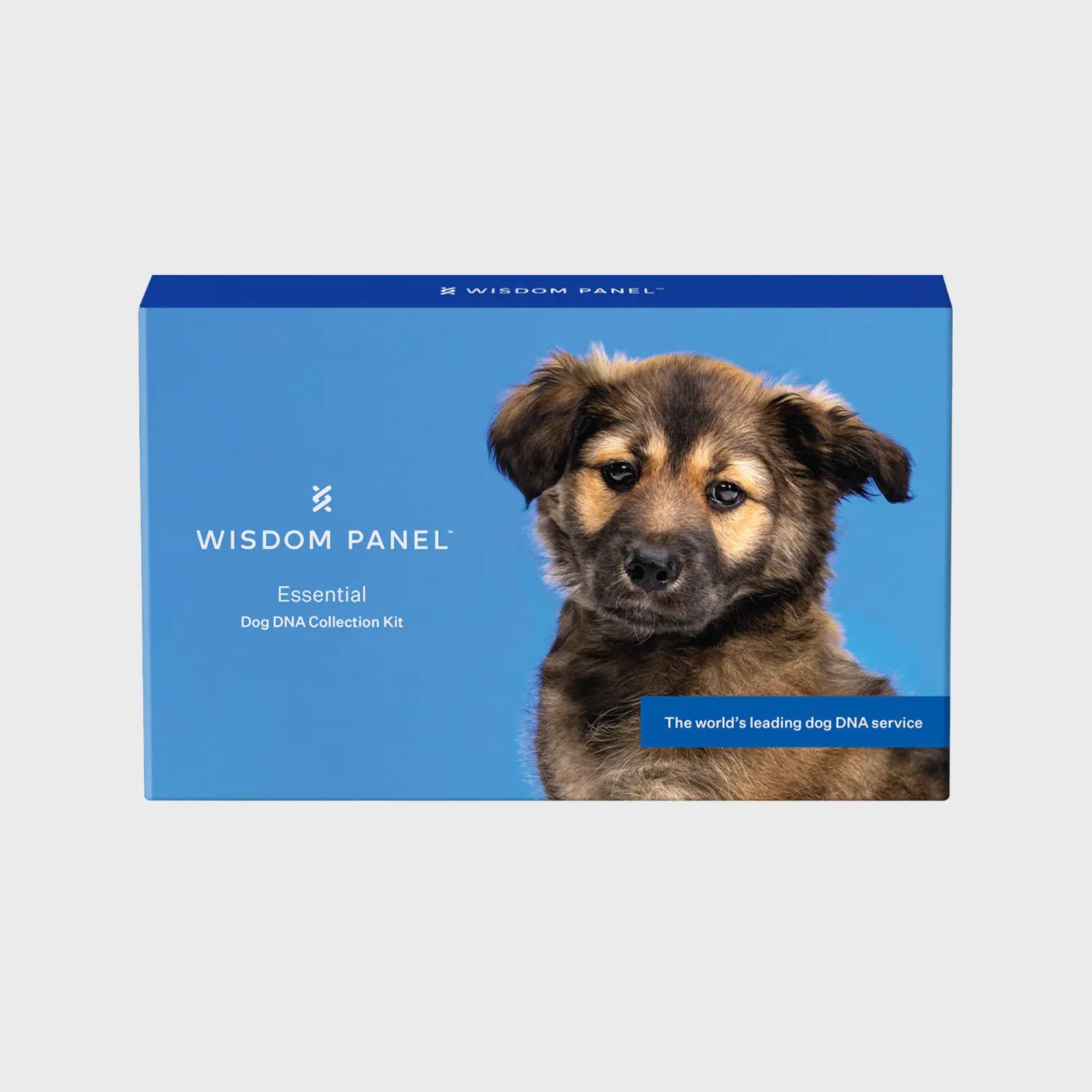 Box displays text "WISDOM PANEL Essential Dog DNA Collection Kit," featuring a cute puppy against a bright blue background.
