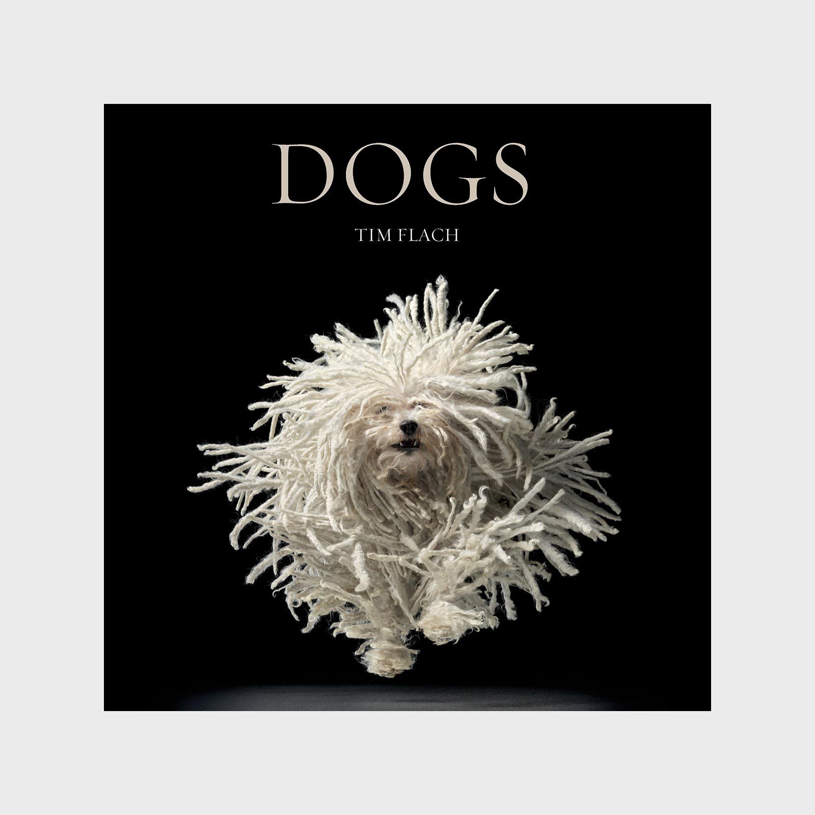 A dog with dreadlock-like fur jumps energetically against a black background. Text reads: "DOGS TIM FLACH."