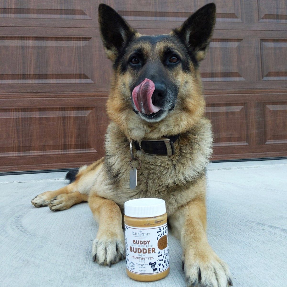 Dog licks lips beside jar of peanut butter on concrete, in front of wooden garage door. Jar labeled "Bark Bistro Buddy Budder."