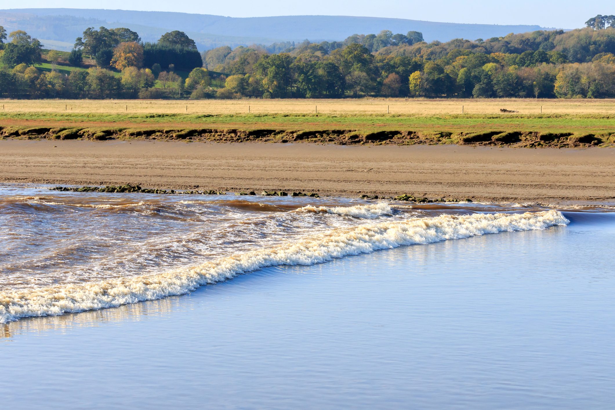 Waves gently ripple onto a sandy beach, bordered by grassy fields and distant tree-covered hills under a clear blue sky.