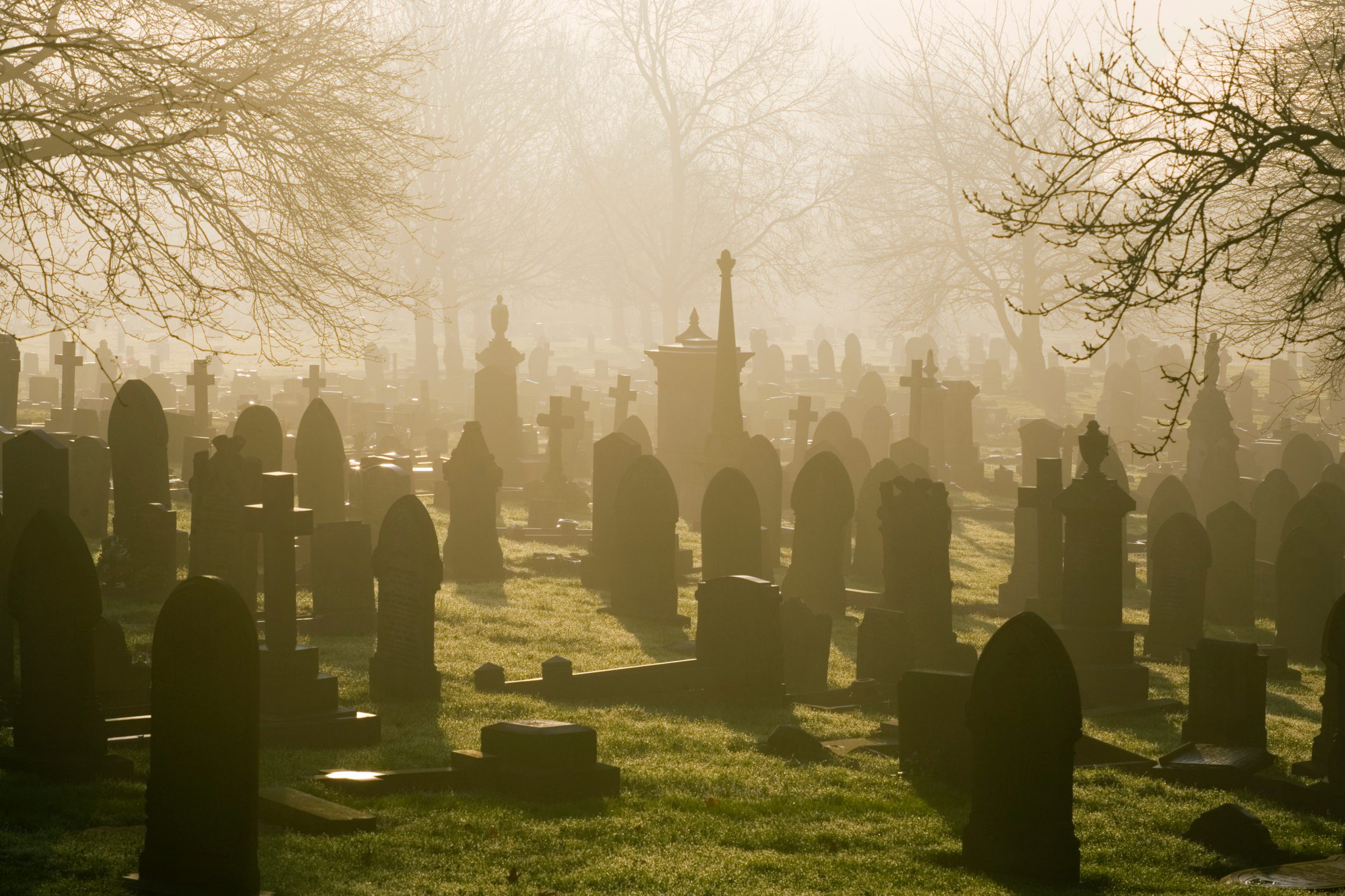 Tombstones stand silently in a foggy cemetery, surrounded by leafless trees and soft sunlight filtering through the mist.