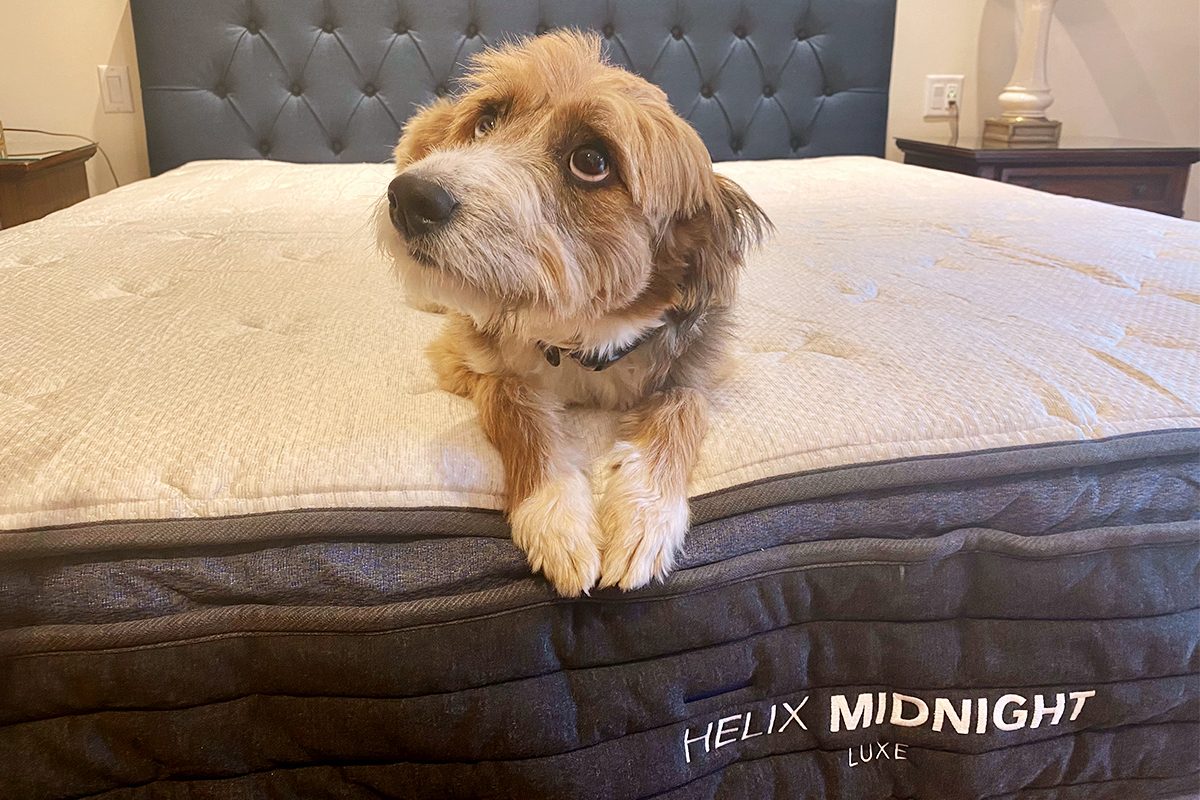 Helix Midnight Luxe Review: The Best Box Mattress Option for Back Pain