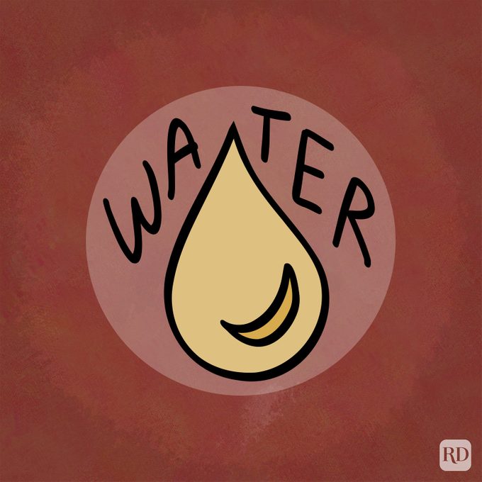 Chinese Zodiac Element Water