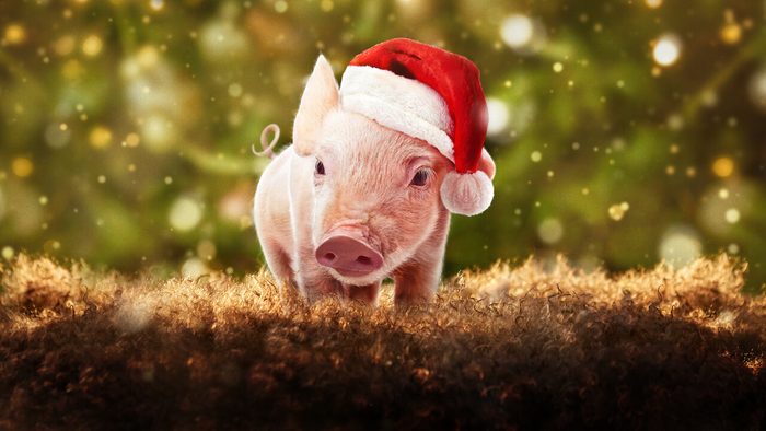 Christmas On A Mistletoe Farm Ecomm Via Netflix.com
