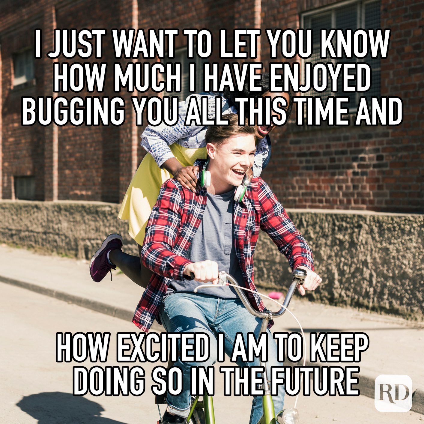 I Just Want To Let You Know How Much I Have Enjoyed Bugging You All This Time Andhow Excited I Am To Keep Doing So In The Future Meme