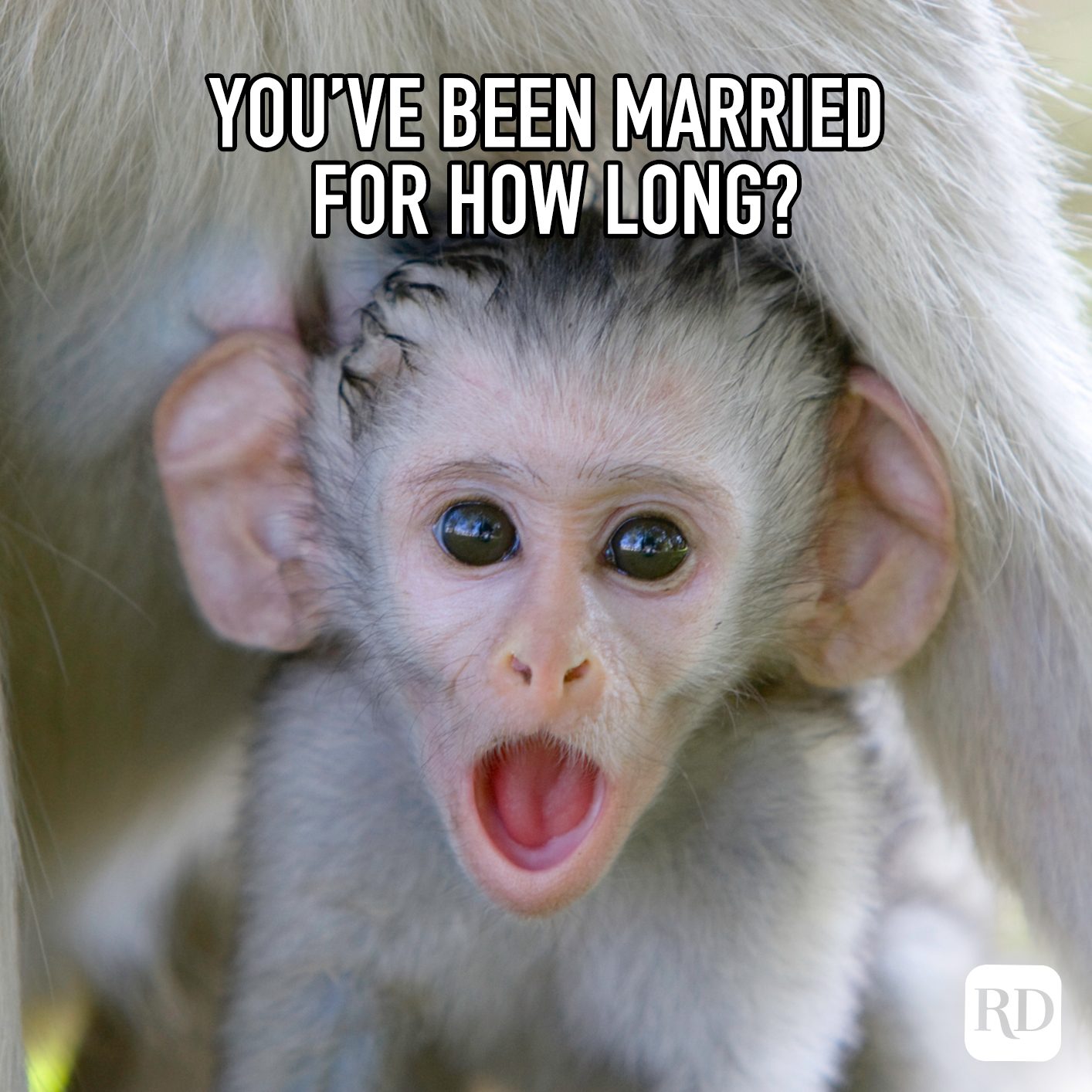 Youve Been Married For How Long Meme