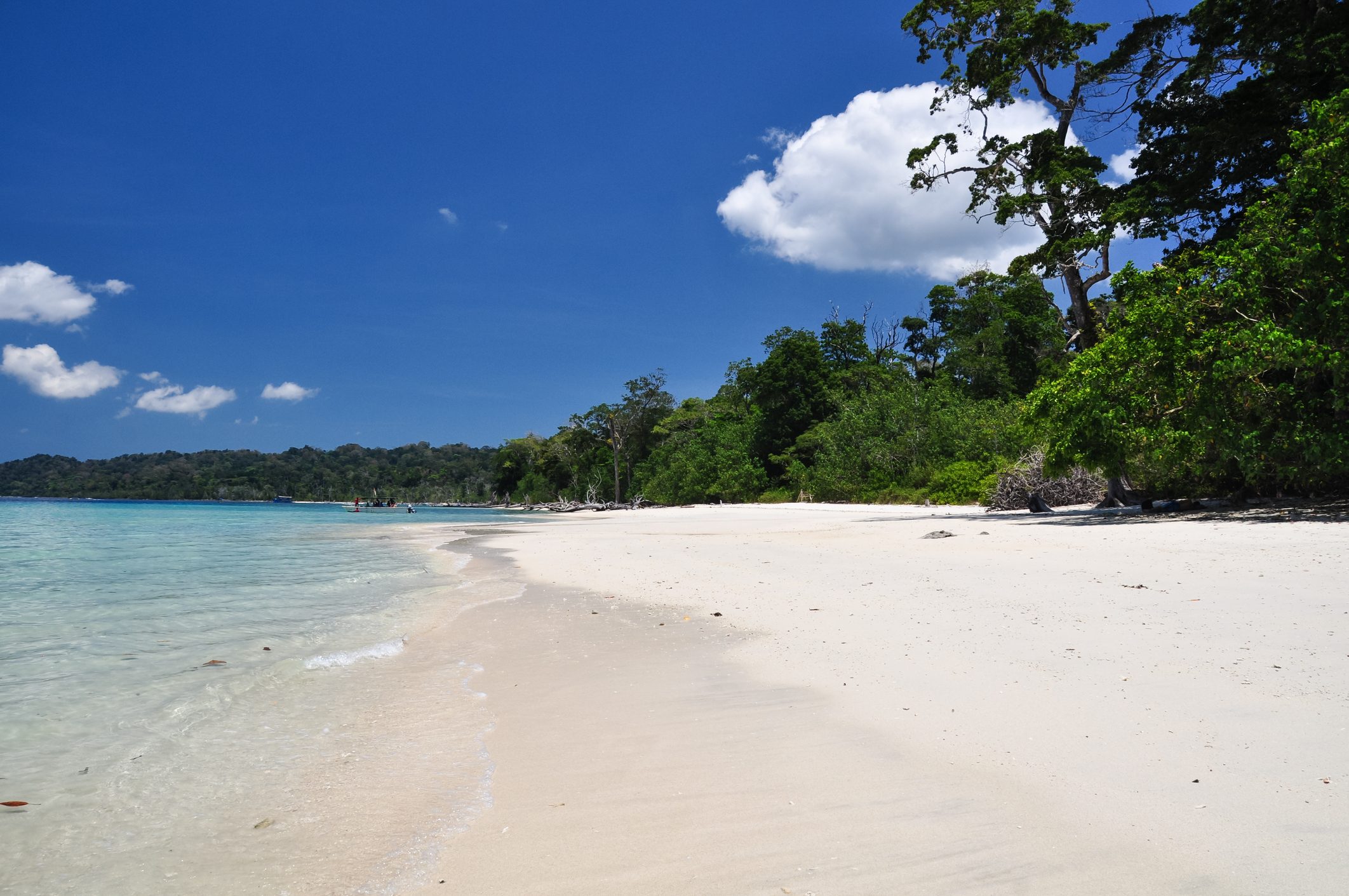 Sandy beach curves alongside turquoise water; lush green trees border the shore under a bright blue sky with scattered white clouds.