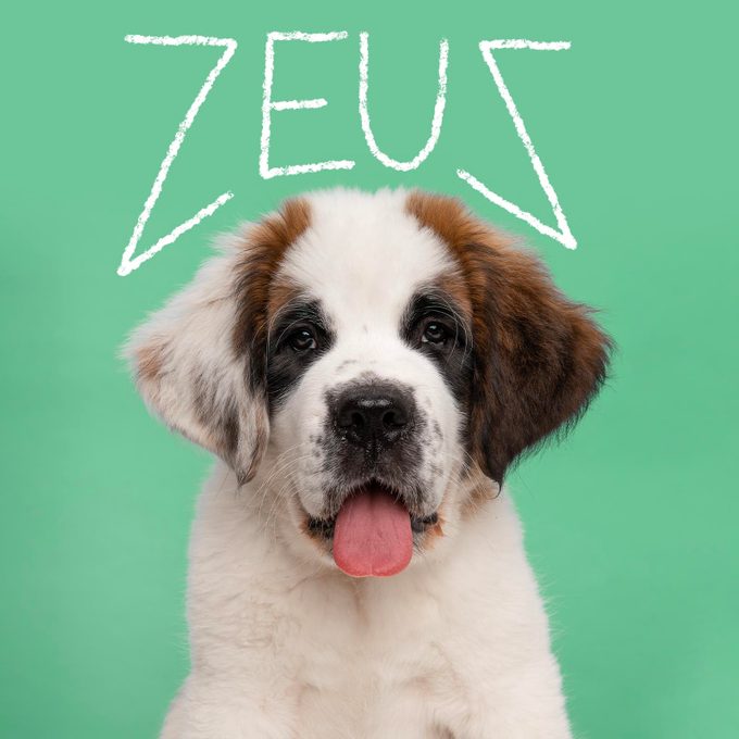 Unique dog name handwritten over an image of a dog