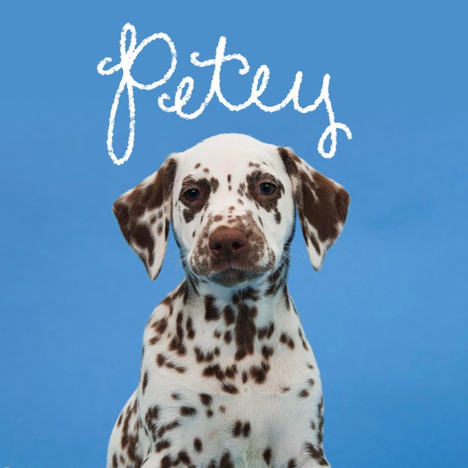 Unique dog name handwritten over an image of a dog