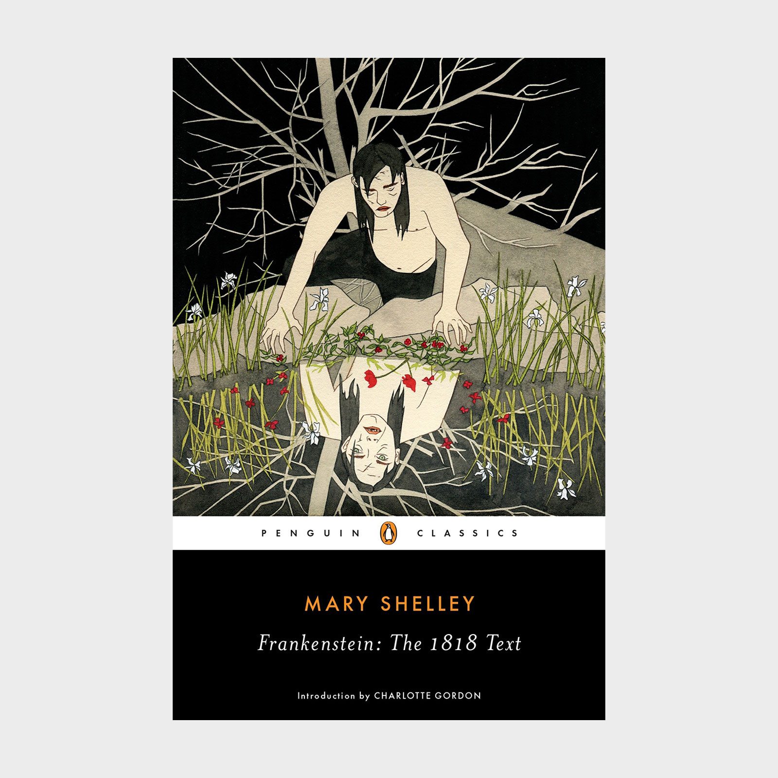 Frankenstein The 1818 Shelley