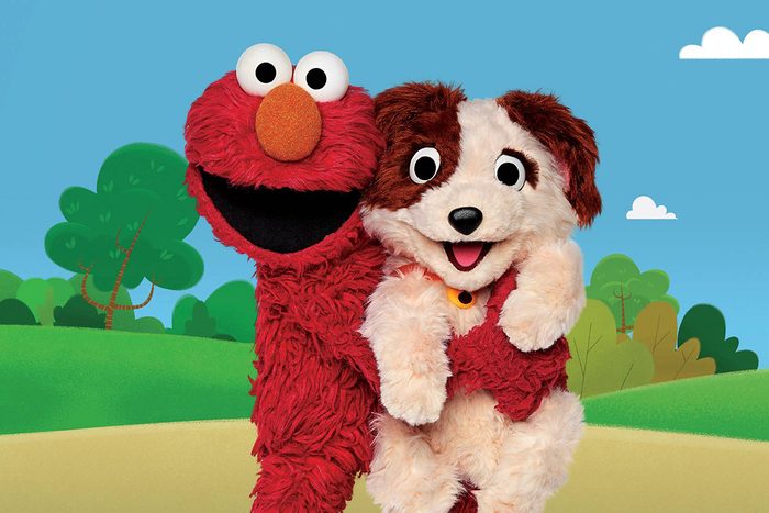 Sesame Street Show