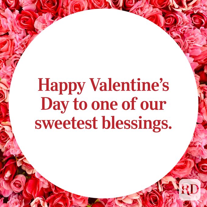 Valentines Day Quote on a background of pink roses