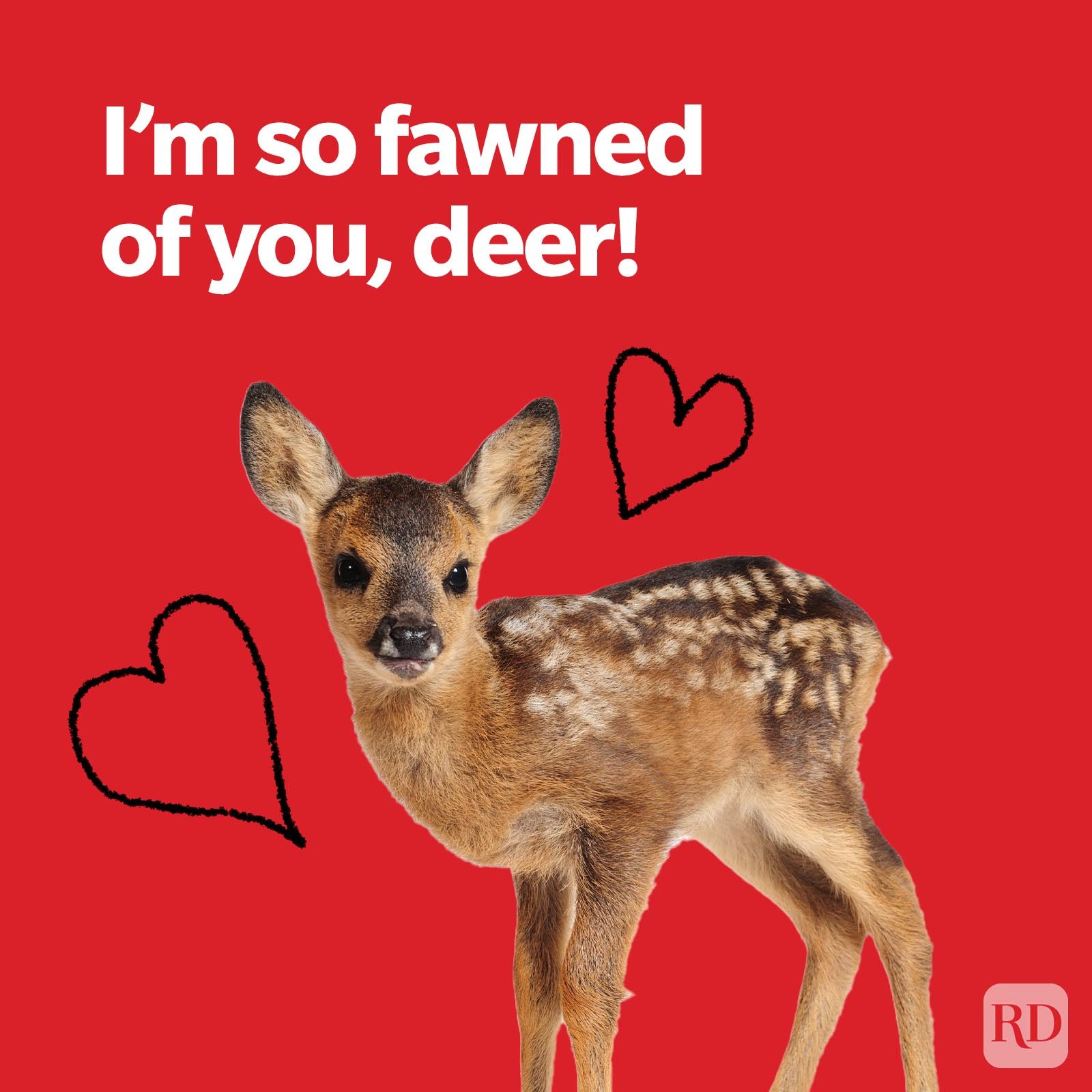 A fawn stands with sketched hearts on a red background. Text reads: "Iâ€™m so fawned of you, deer!"