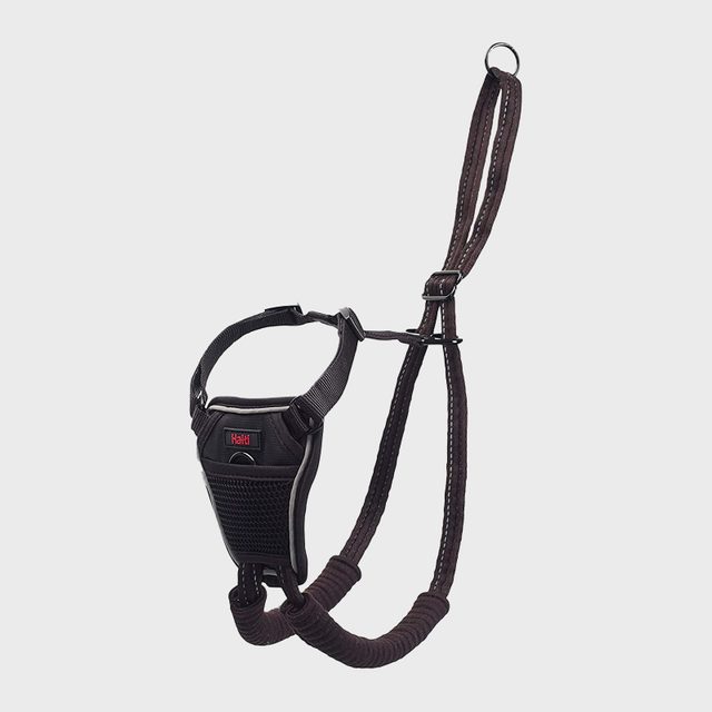 Dog harness hanging against a white background; features adjustable straps and a mesh chest piece. The word 