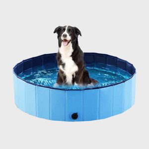 A black and white dog sits in a blue foldable pool, surrounded by clear water against a plain background.