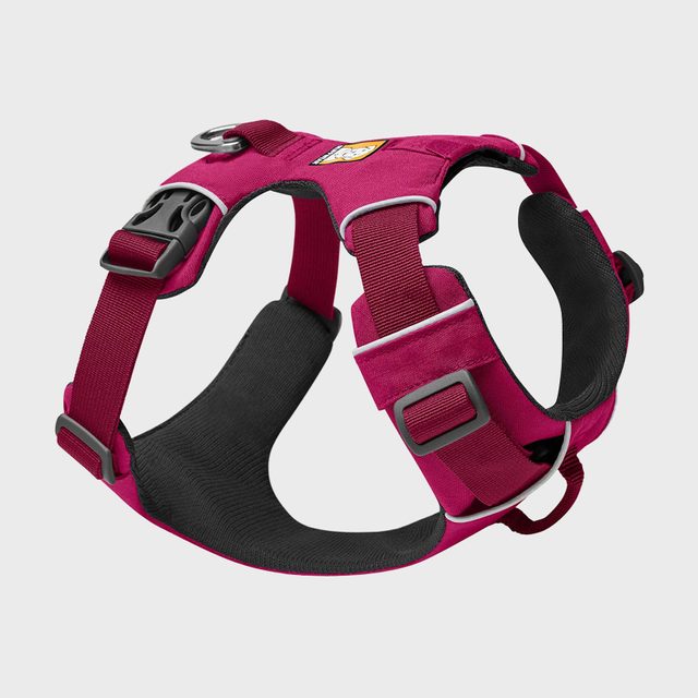 Dog harness sits upright, featuring maroon fabric and black interior, surrounded by gray background.