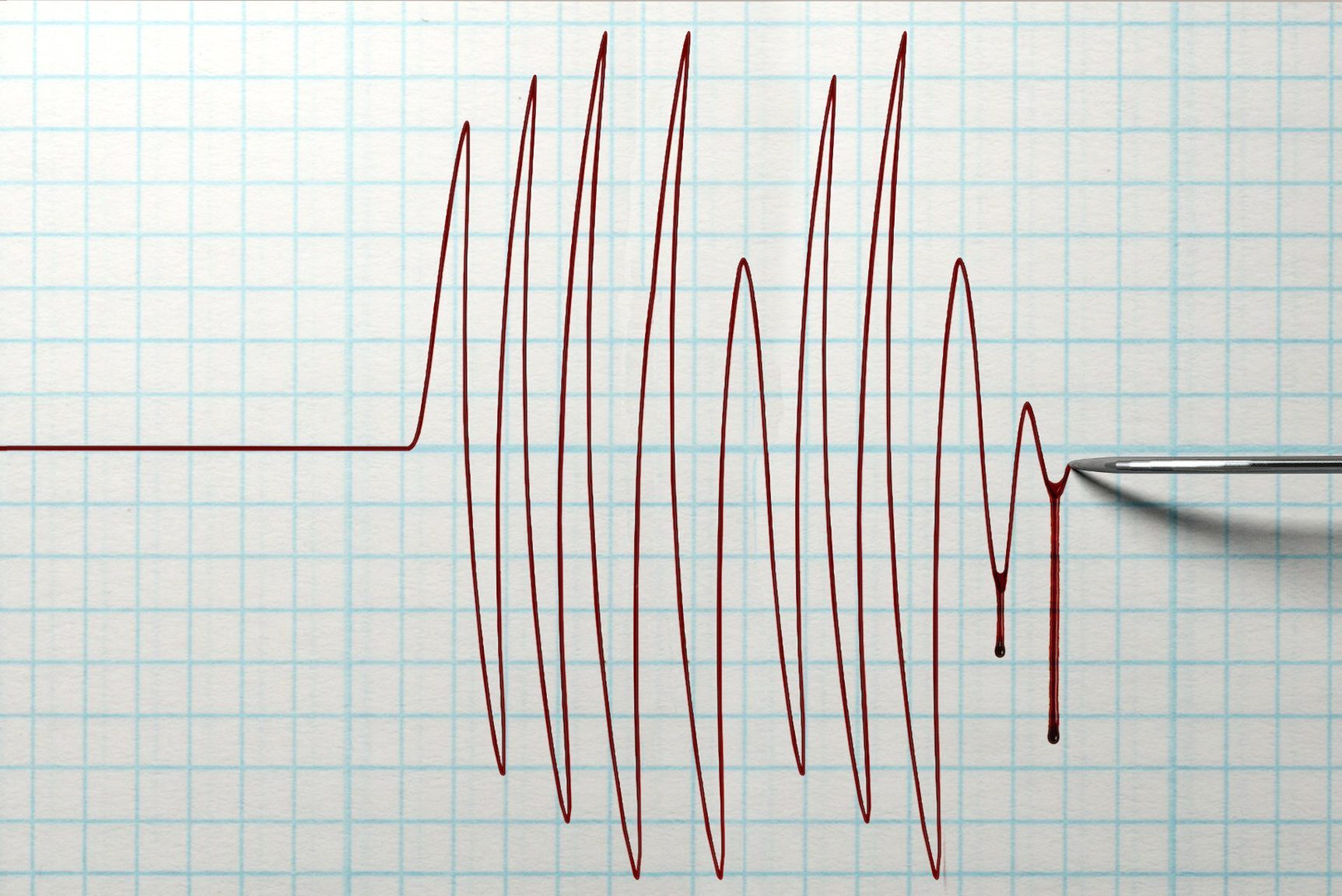 The Confession Killer 