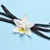Where Does Vanilla Flavoring Come From?