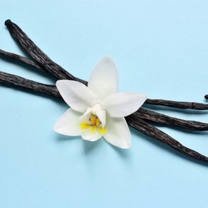 Vanilla pods lie on a light blue surface, topped with a white orchid blossom, creating a simple, elegant composition.