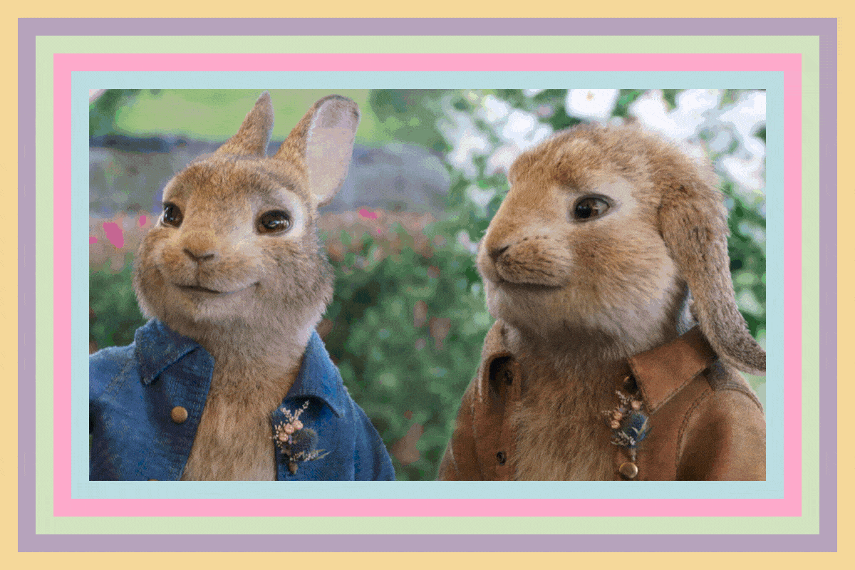 Two animated rabbits sit wearing jackets, surrounded by greenery and colorful layered borders.