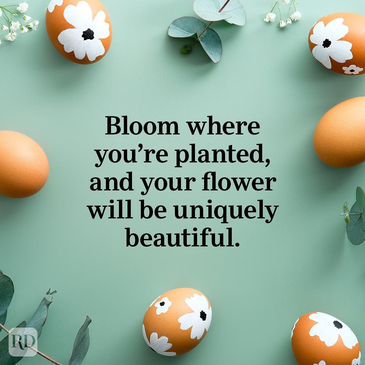 Easter Wishes to send to your friends and family this year - Bloom where you're planted, and your flower will be uniquely beautiful.
