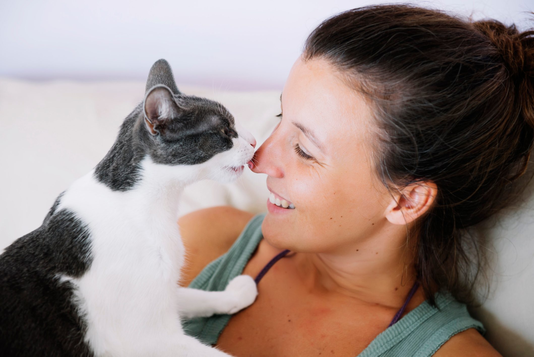 A cat licks a woman's nose while she smiles brightly, lounging indoors on a comfortable sofa.