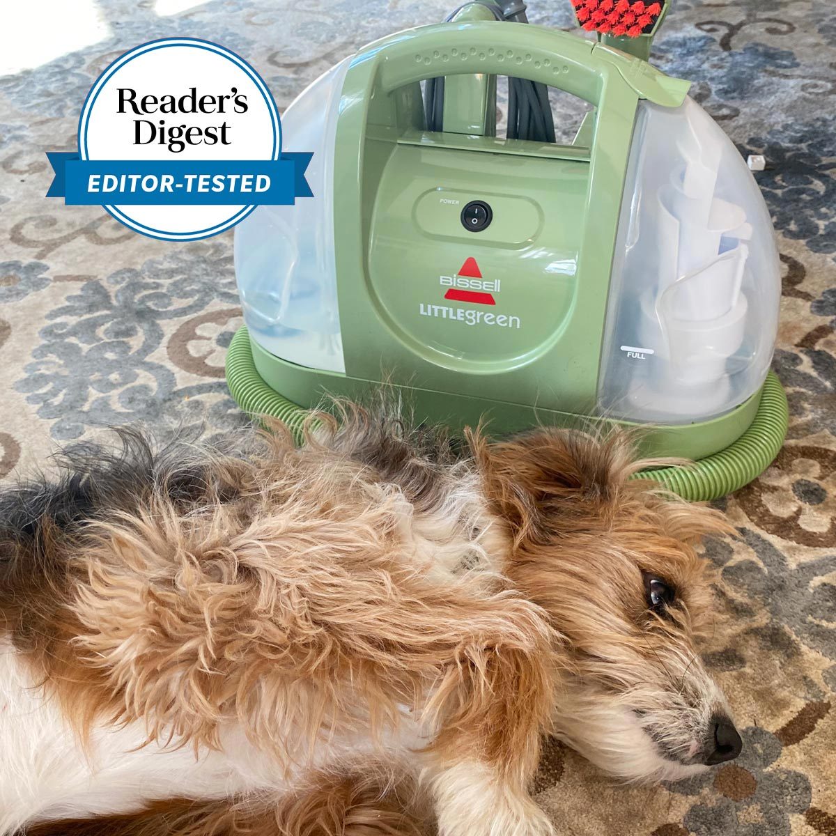 Green carpet cleaner resting, next to a fluffy dog lying on a patterned rug with Reader's Digest "Editor-Tested" badge nearby.