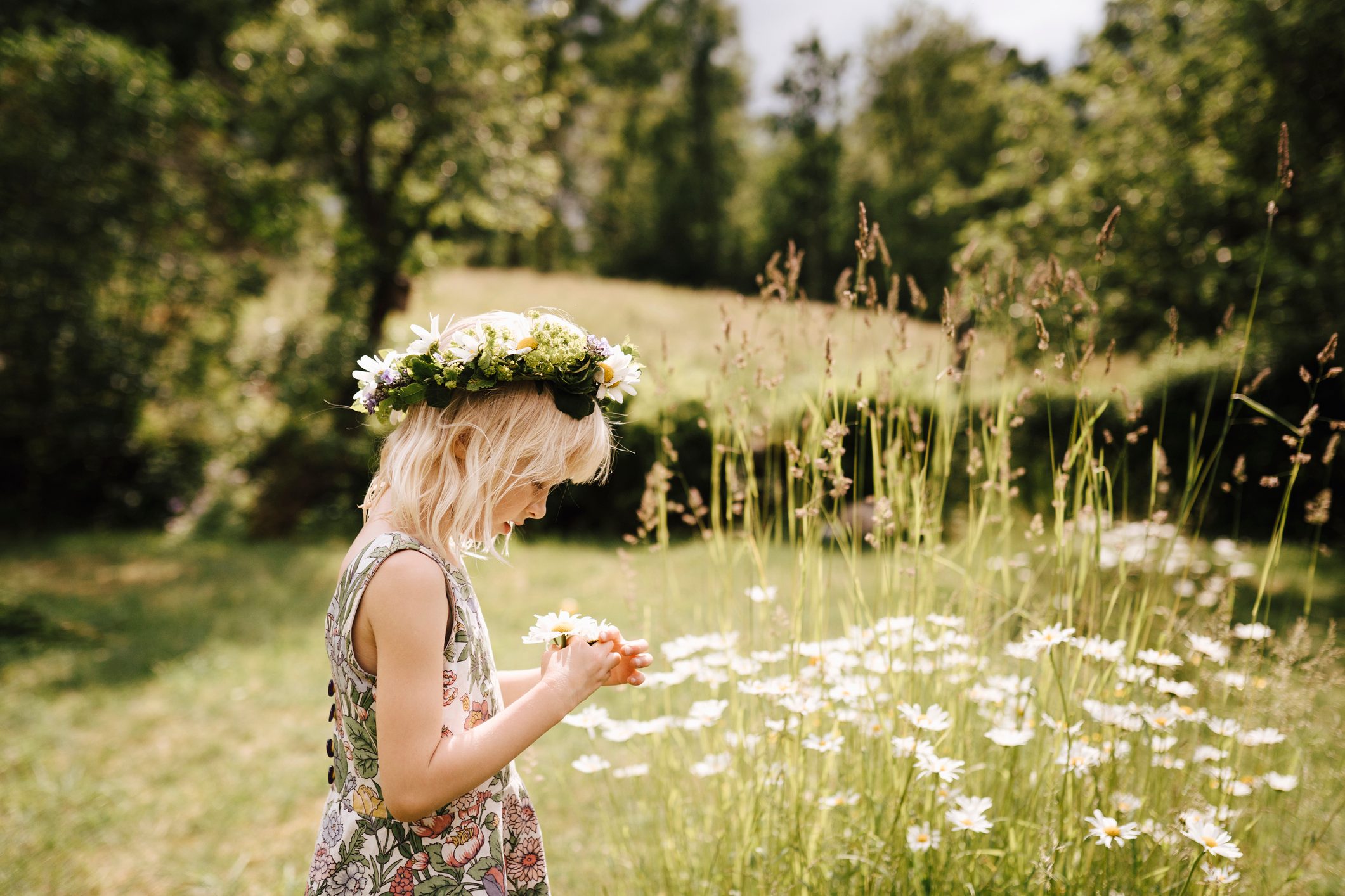 Child wearing a flower crown examines daisies in a sunlit meadow surrounded by lush trees.